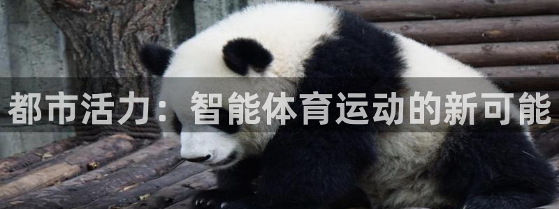 88体育网：都市活力：智能体育运动的新可能