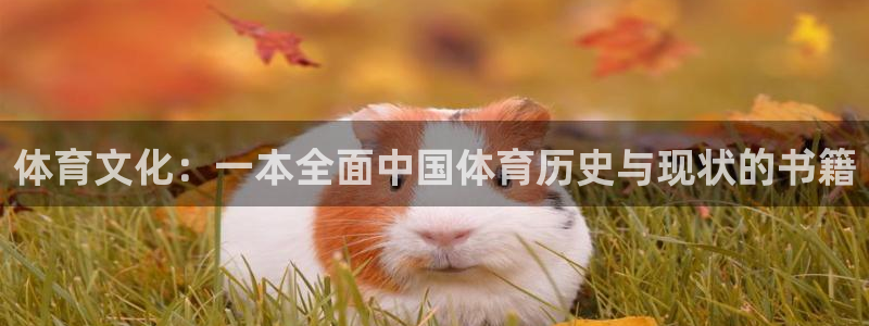 88体育app下载入口官网：体育文化：一本全面中国体育历史与现状的书籍