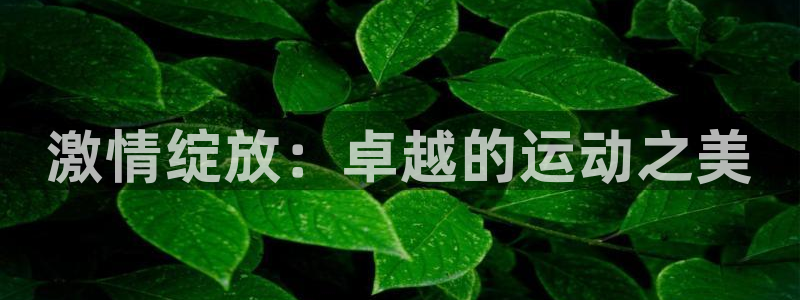 88体育网址：激情绽放：卓越的运动之美