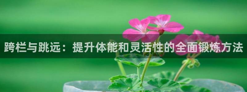 88体育官网手机版入：跨栏与跳远：提升体能和灵活性的全面锻炼方法